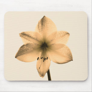 Alfombrilla De Ratón sepia amaryllis