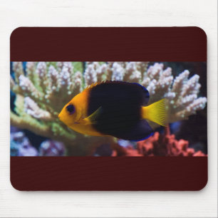 Alfombrilla De Ratón Serenidad Mousepad del filón