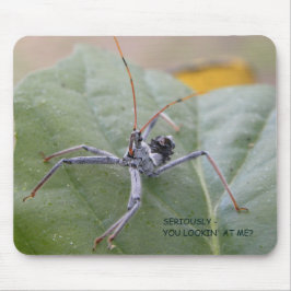 Alfombrilla De Ratón ¿Seriamente usted que me mira?