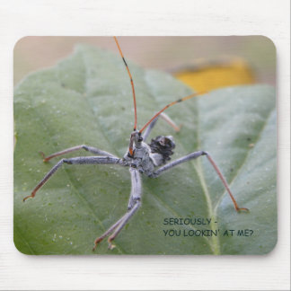 Alfombrilla De Ratón ¿Seriamente usted que me mira?