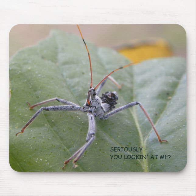 Alfombrilla De Ratón ¿Seriamente usted que me mira? (Frente)