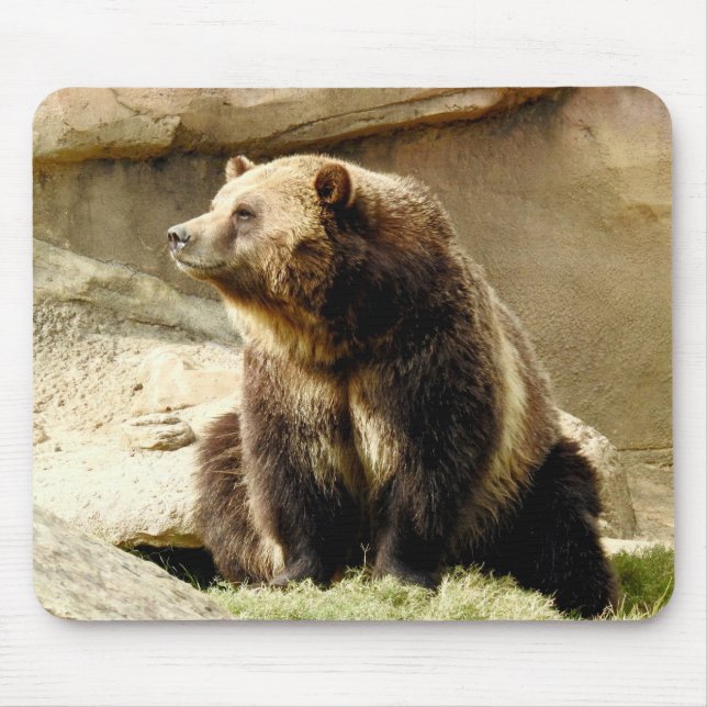 Alfombrilla De Ratón Serie animal de Mousepad - oso grizzly (Frente)