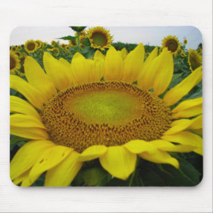 Alfombrilla De Ratón Serie de girasoles de verano