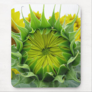 Alfombrilla De Ratón Serie del girasol