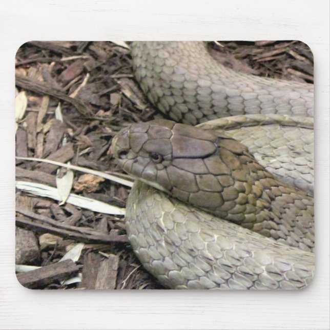 Alfombrilla De Ratón Serpiente (Frente)