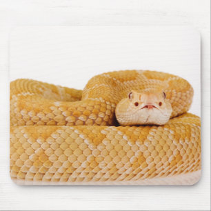 Alfombrilla De Ratón Serpiente de cascabel de diamondback occidental