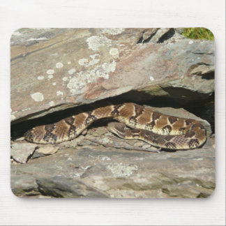 Alfombrilla De Ratón Serpiente de cascabel en el Parque Nacional Shenan
