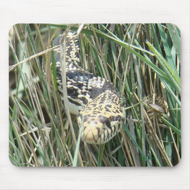 Alfombrilla De Ratón Serpiente de R4 Bull en hierba (Frente)