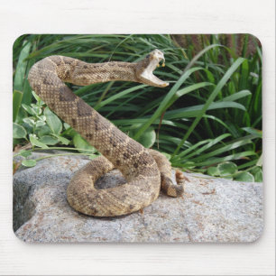 Alfombrilla De Ratón serpiente de rattle en una roca