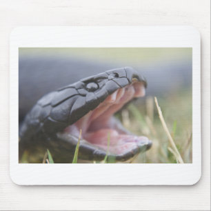 Alfombrilla De Ratón Serpiente de tigre
