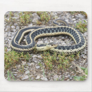 Alfombrilla De Ratón Serpiente Mousepad