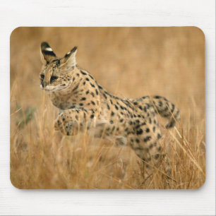 Alfombrilla De Ratón Serval (Leptailurus Serval) Saltando