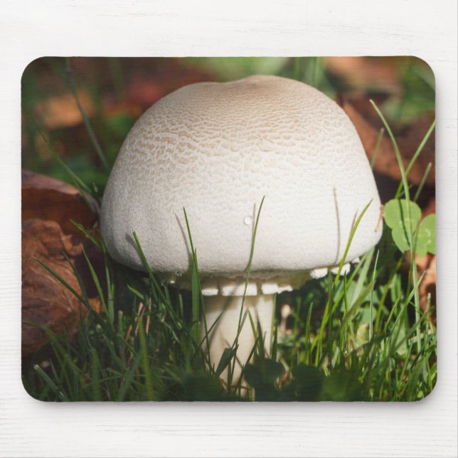Alfombrilla De Ratón Seta de campo en un bosque (Frente)