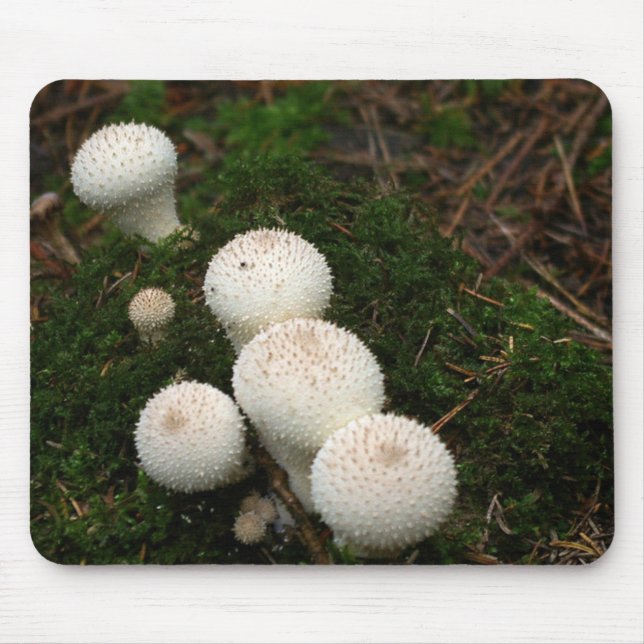 Alfombrilla De Ratón Setas del puffball del Lycoperdon (Frente)
