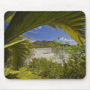 Alfombrilla De Ratón Seychelles, Isla Curieuse, Bahía Laraie