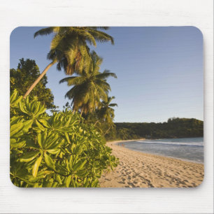 Alfombrilla De Ratón Seychelles, isla de Mahe, playa de Anse Takamaka,