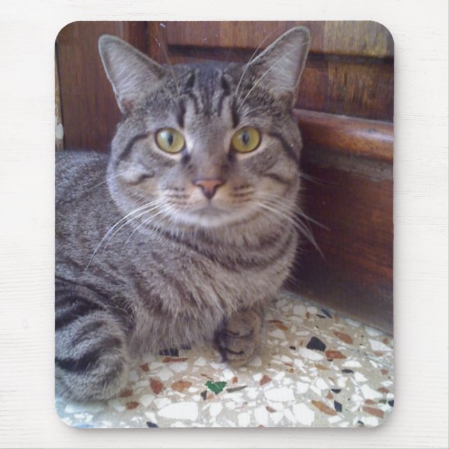 Alfombrilla De Ratón Shangel (Frente)