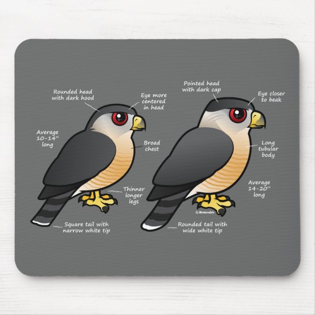 Alfombrilla De Ratón Sharpie del gallinero v (Frente)