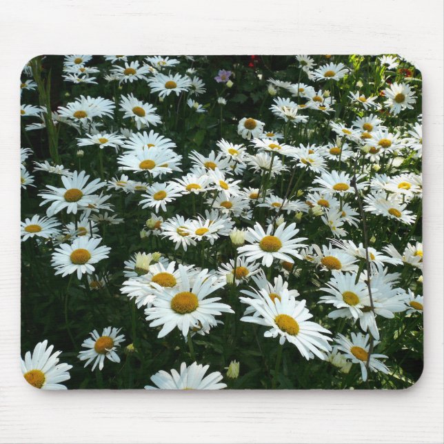 Alfombrilla De Ratón Shasta Daisies (Frente)