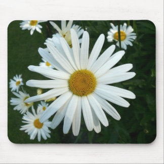 Alfombrilla De Ratón Shasta Daisy