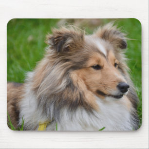 Alfombrilla De Ratón Sheepdog de Shetland - Perro confitado