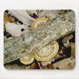 Alfombrilla De Ratón Shelf Fungus en Noviembre en Mousepad