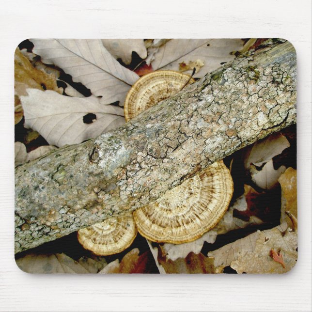 Alfombrilla De Ratón Shelf Fungus en Noviembre en Mousepad (Frente)