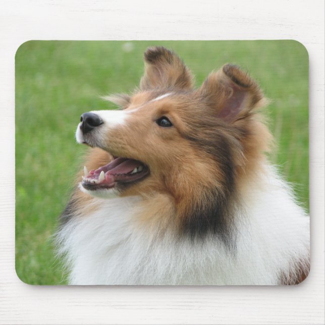 Alfombrilla De Ratón Sheltie en mousepad (Frente)