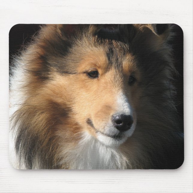 Alfombrilla De Ratón Sheltie hace frente (Frente)