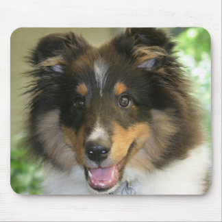 Alfombrilla De Ratón Sheltie Mousepad