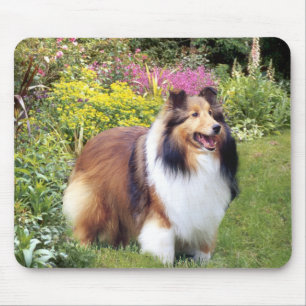 Alfombrilla De Ratón Sheltie Mousepad