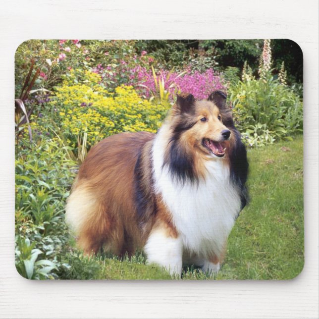 Alfombrilla De Ratón Sheltie Mousepad (Frente)