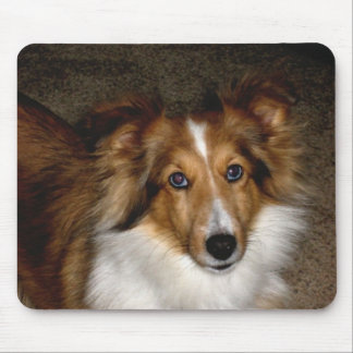 Alfombrilla De Ratón ~ Sheltie Mousepad del perro pastor de Shetland