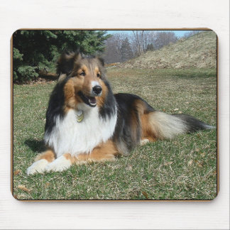 Alfombrilla De Ratón sheltie_mpad4