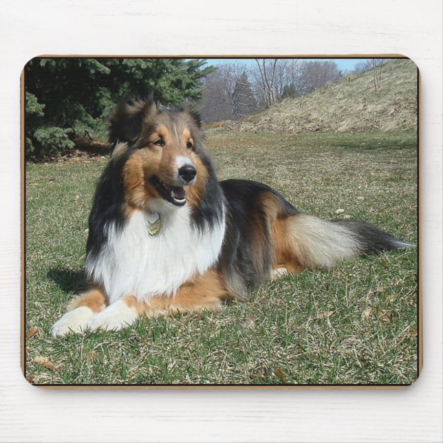 Alfombrilla De Ratón sheltie_mpad4 (Frente)
