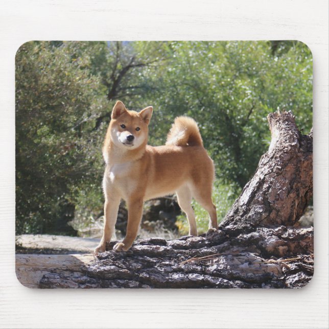 Alfombrilla De Ratón Shiba inu (Frente)