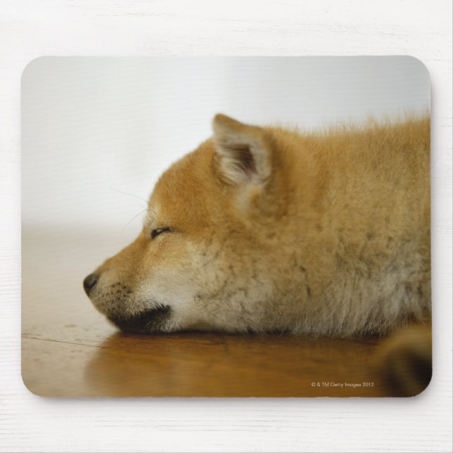 Alfombrilla De Ratón Shiba-ken durmiendo 3 (Frente)