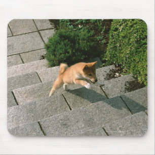 Alfombrilla De Ratón Shiba muy pequeño japonés 3