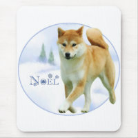 Shiba Noel