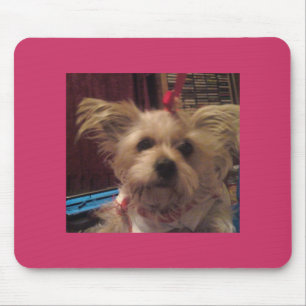 Alfombrilla De Ratón Shih Tzu