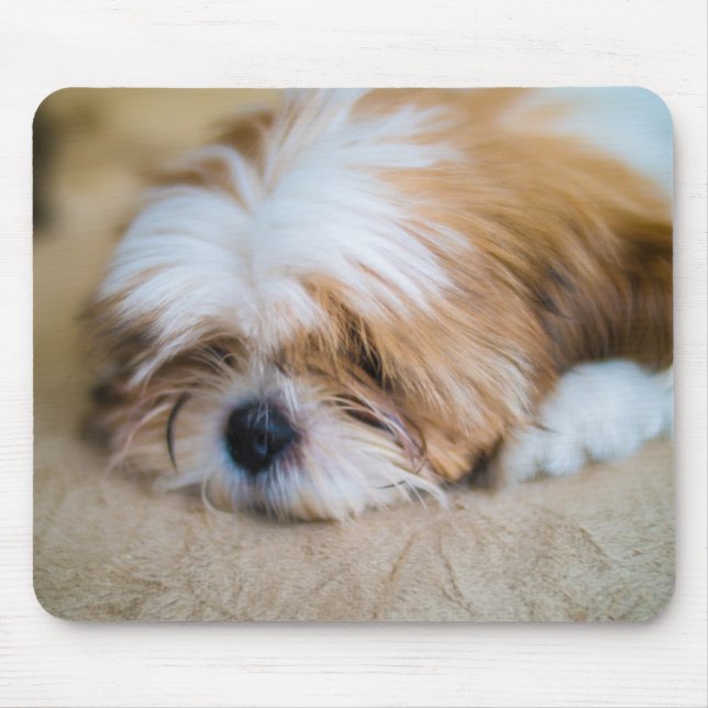 Alfombrilla De Ratón Shih Tzu (Frente)
