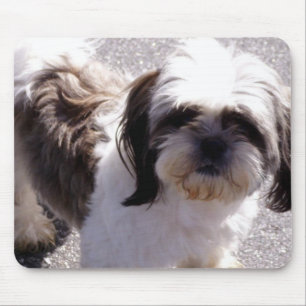 Alfombrilla De Ratón Shih-Tzu