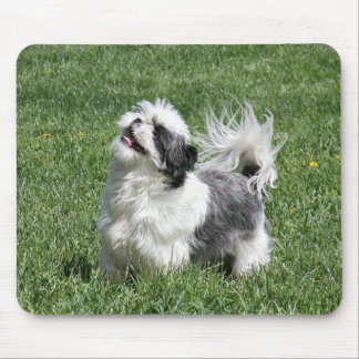 Alfombrilla De Ratón shih tzu jugando