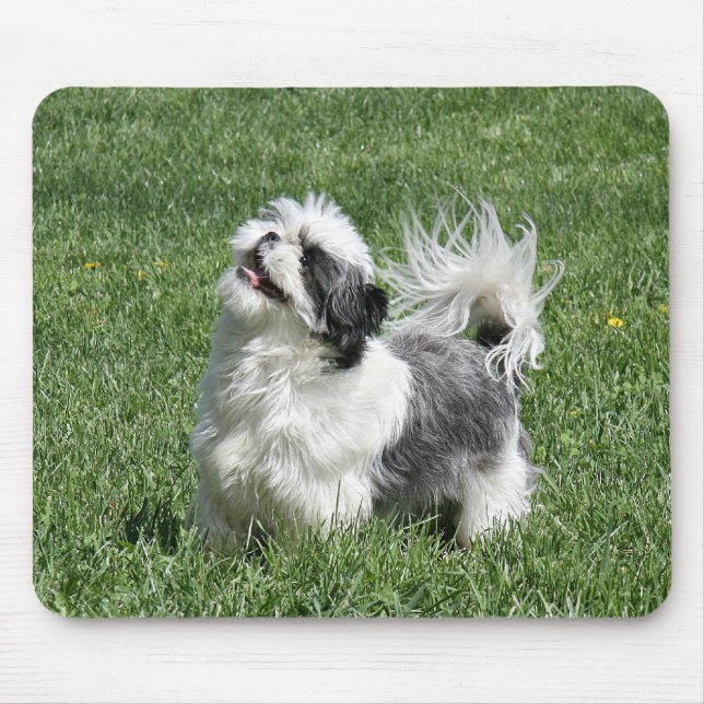 Alfombrilla De Ratón shih tzu jugando (Frente)