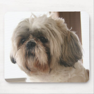 Alfombrilla De Ratón Shih Tzu Mousepad