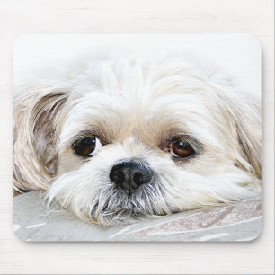 Alfombrilla De Ratón shih tzu mousepad solitario