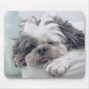 Alfombrilla De Ratón shih tzu, perro, mascota