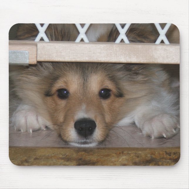 Alfombrilla De Ratón Shiloh Mousepad (Frente)