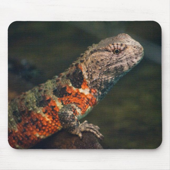 Alfombrilla De Ratón Shinisaurus crocodilurus (Frente)