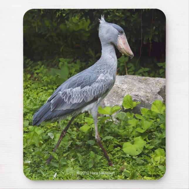 Alfombrilla De Ratón Shoebill (Frente)